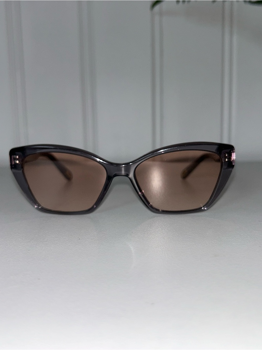 Chloe Cat-Eye Sunglasses with Brown Lenses